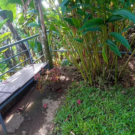 Munnar Home Stay Teadrops Plantation Villa Exterior photo