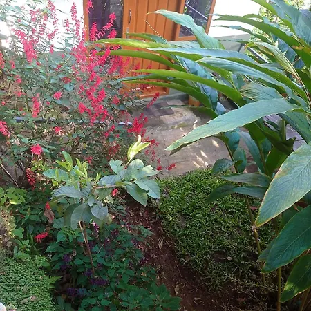 Munnar Home Stay Teadrops Plantation Villa Exterior photo