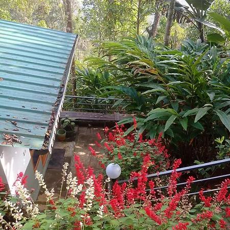 Munnar Home Stay Teadrops Plantation Villa Exterior photo
