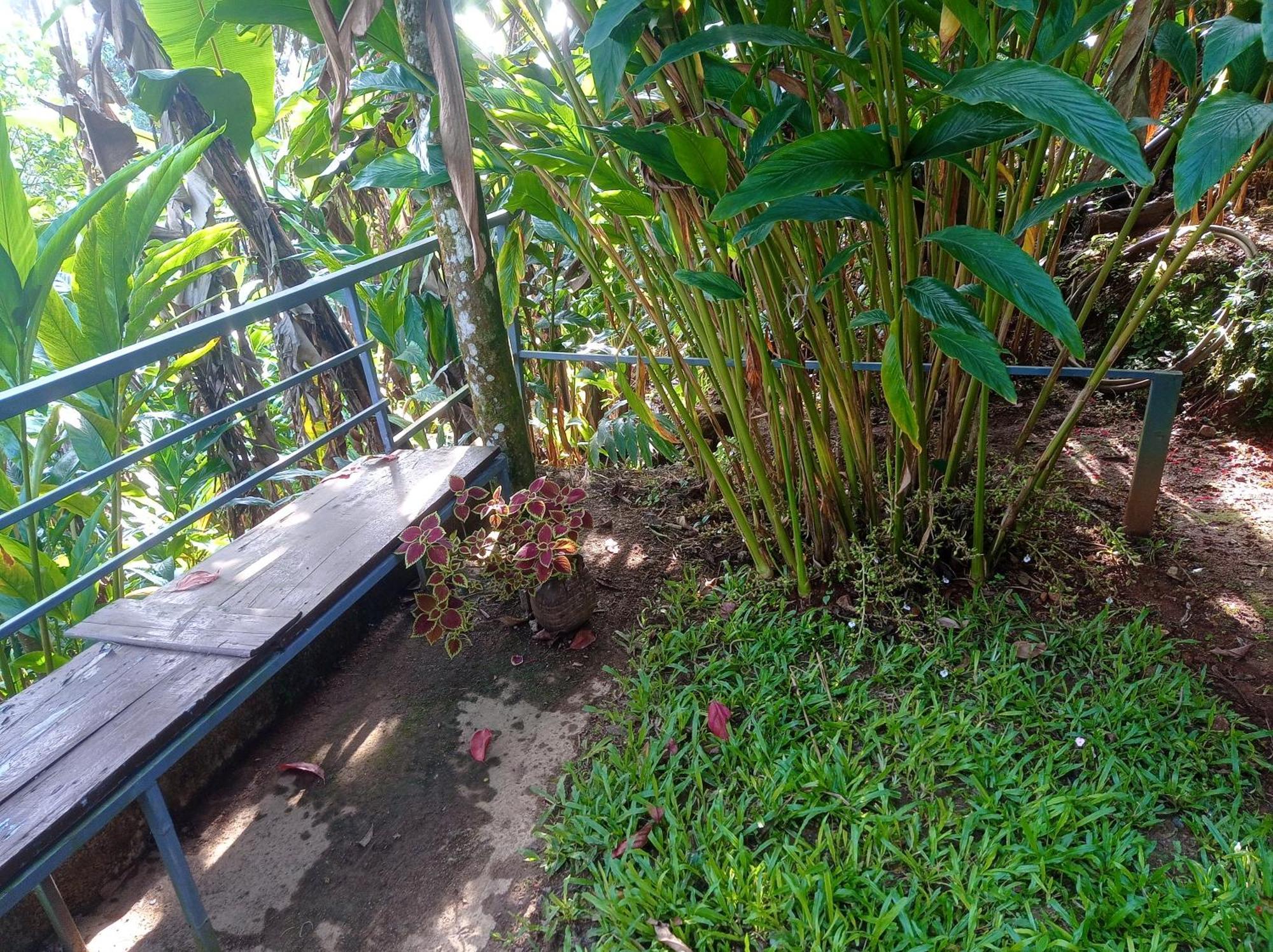 Teadrops Plantation Homestay *