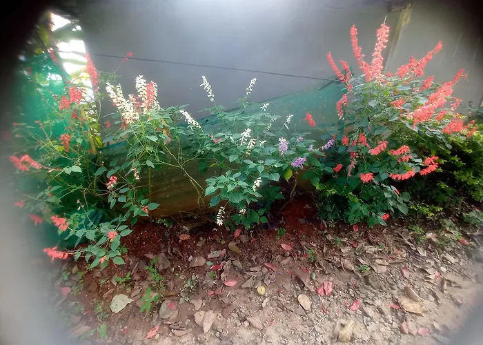 Munnar Home Stay Teadrops Plantation Villa