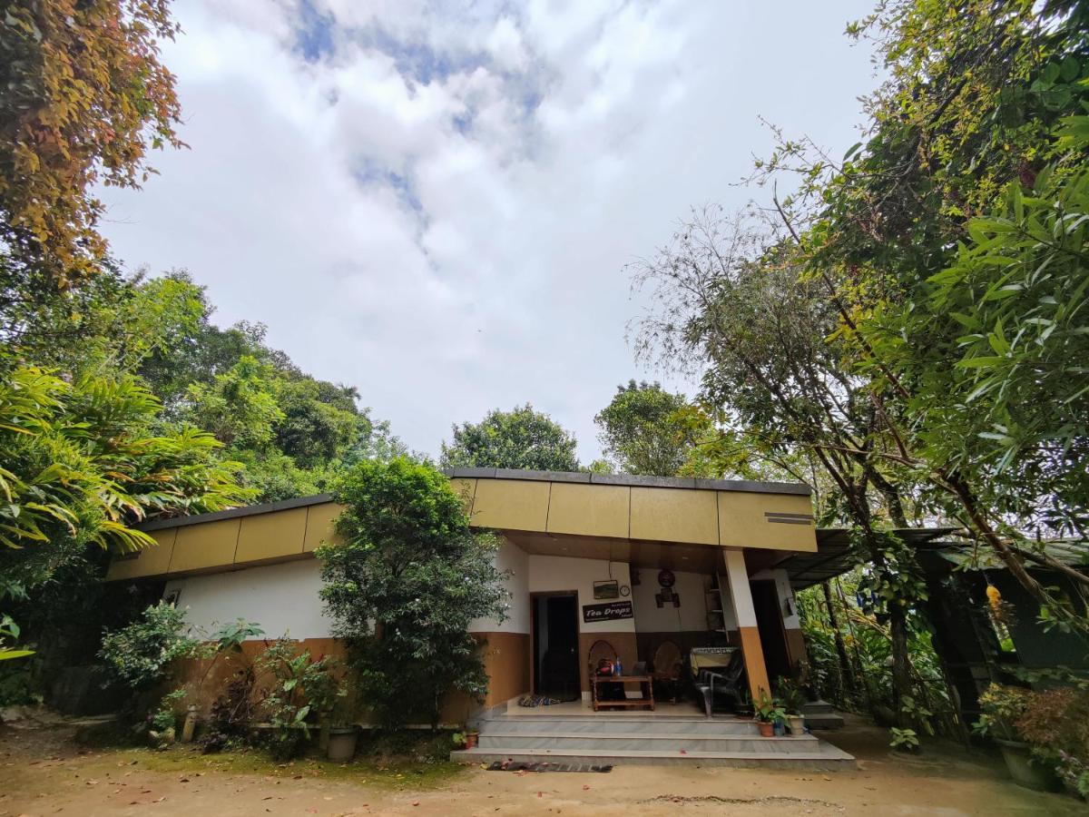 Homestay Teadrops Plantation
