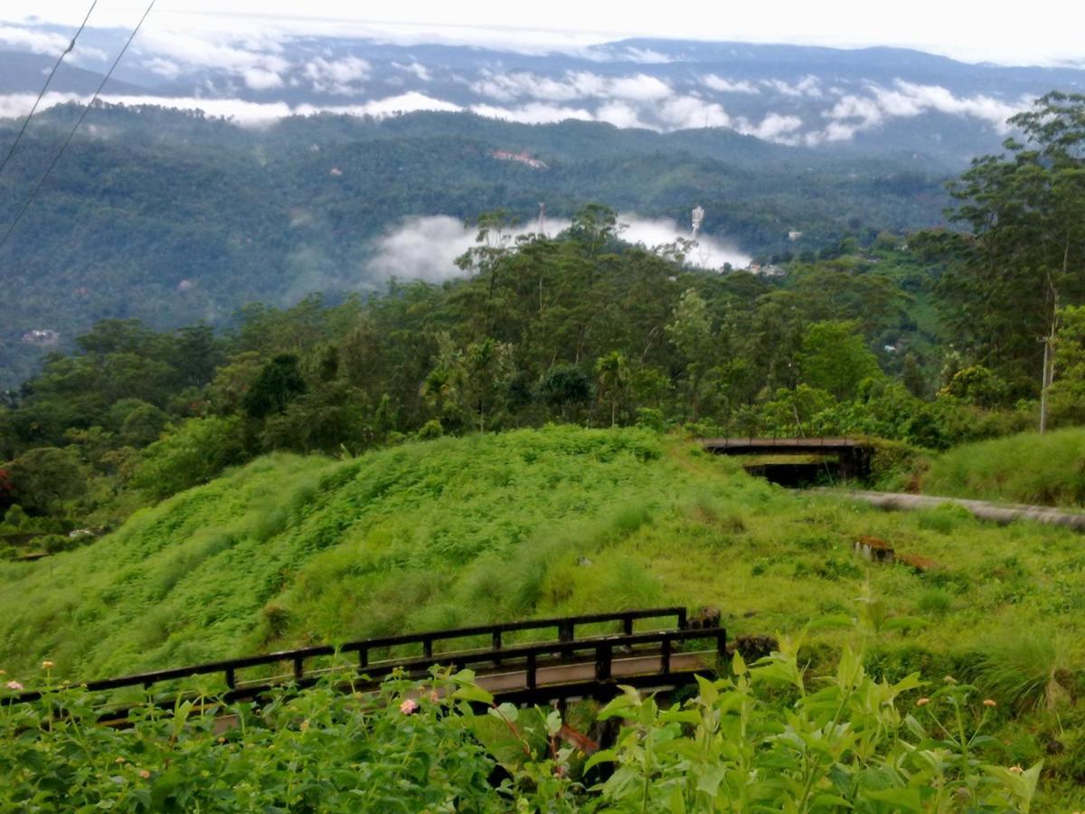 Teadrops Plantation * Munnar
