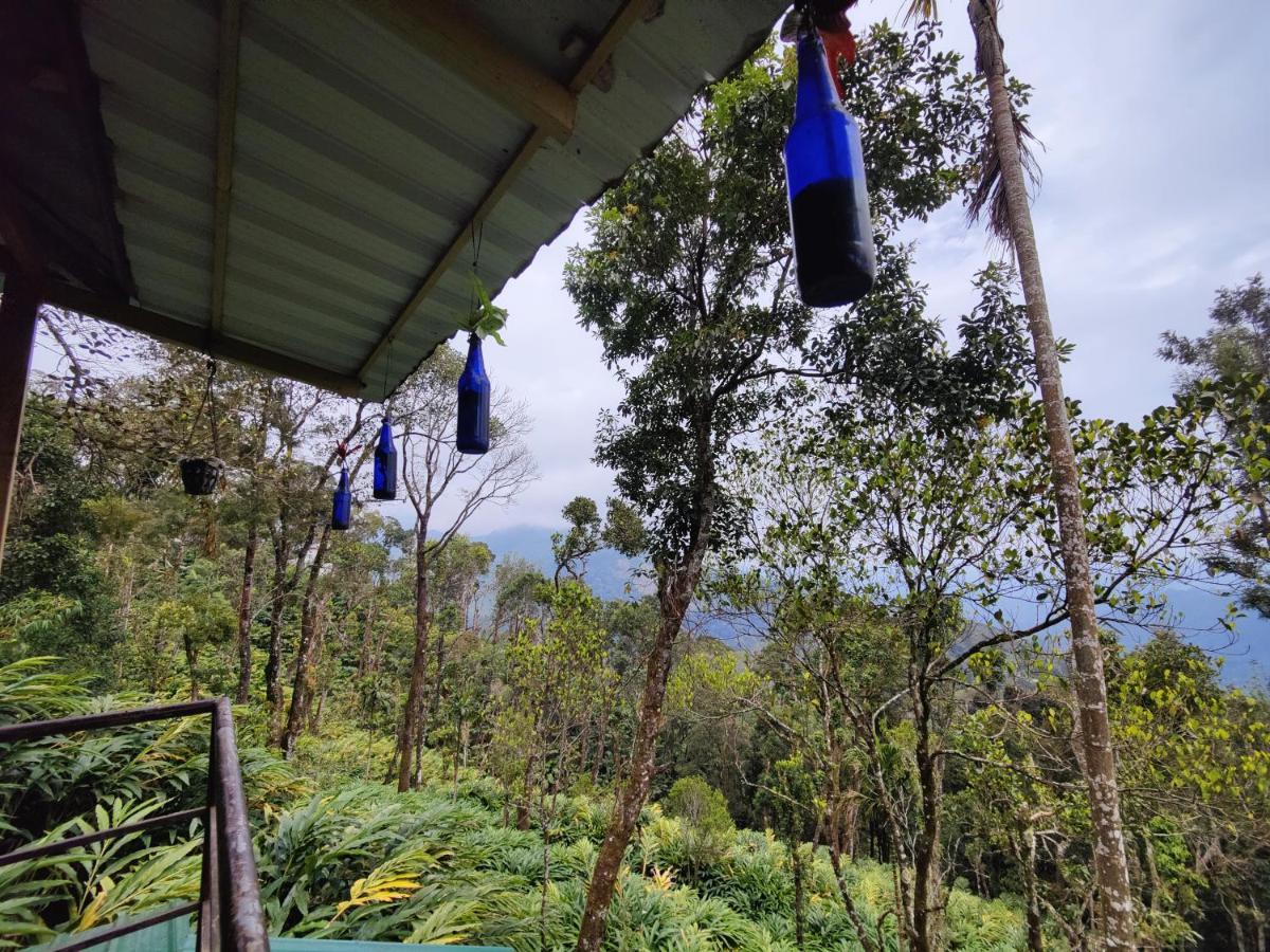 Teadrops Plantation * Munnar