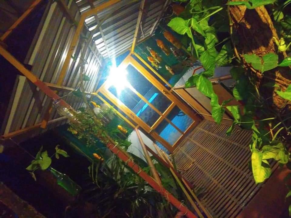 Homestay Teadrops Plantation