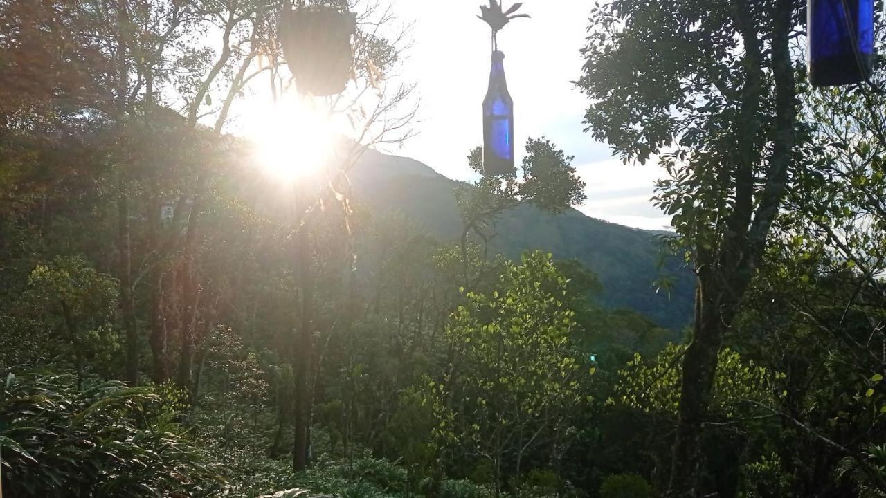 Teadrops Plantation Homestay Munnar