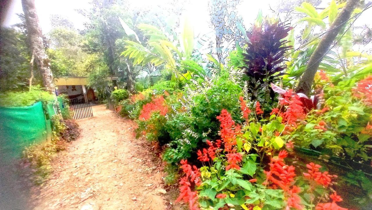 Teadrops Plantation * Munnar