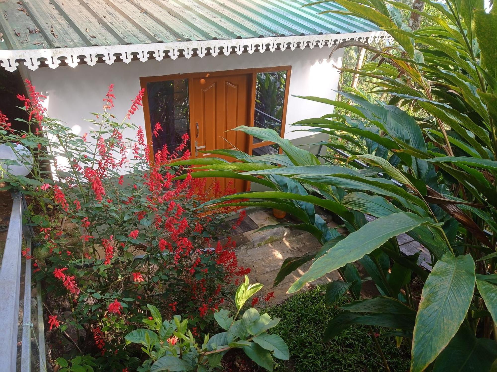 Homestay Teadrops Plantation Munnar