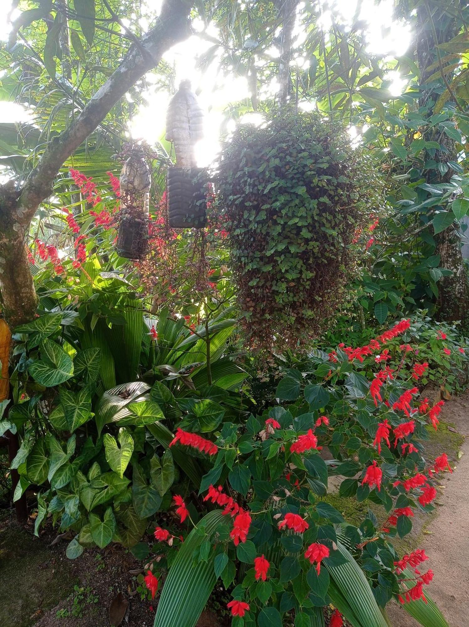 Homestay Teadrops Plantation Munnar