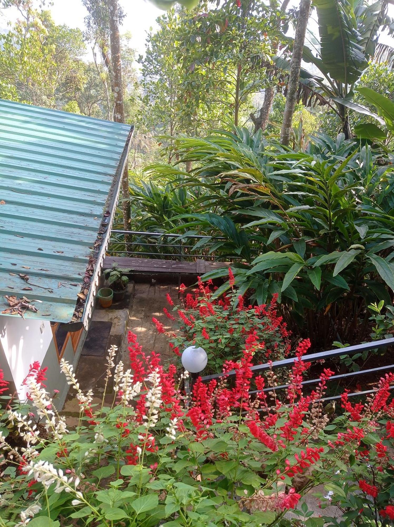 Teadrops Plantation Munnar