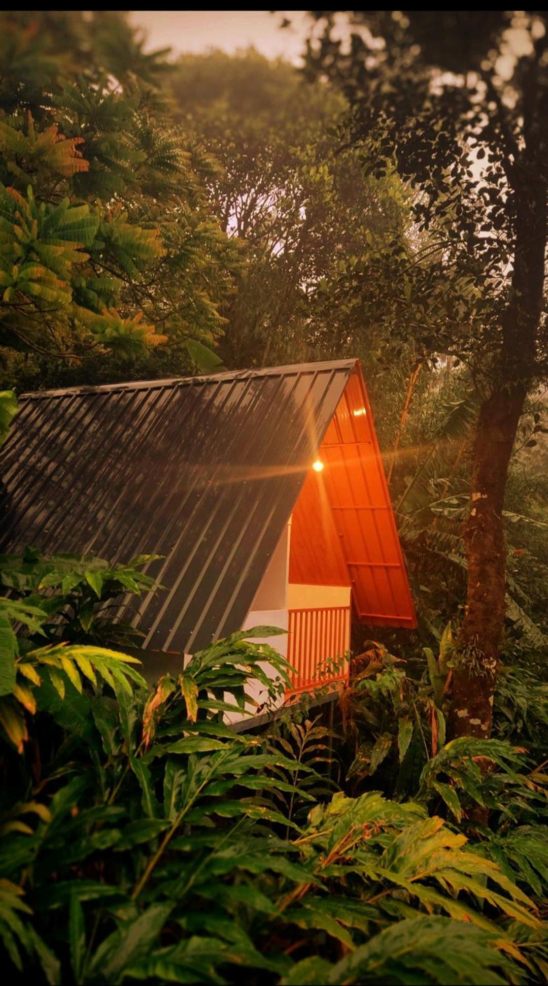 Homestay Teadrops Plantation *