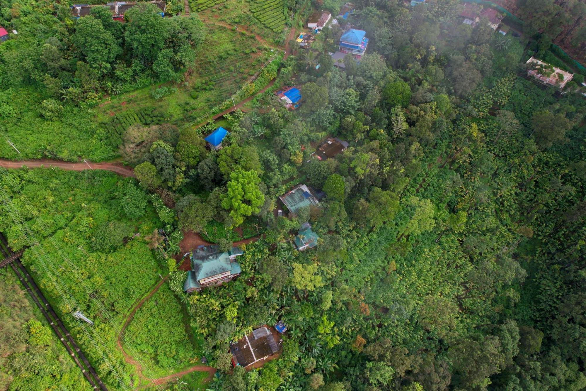 Homestay Teadrops Plantation *