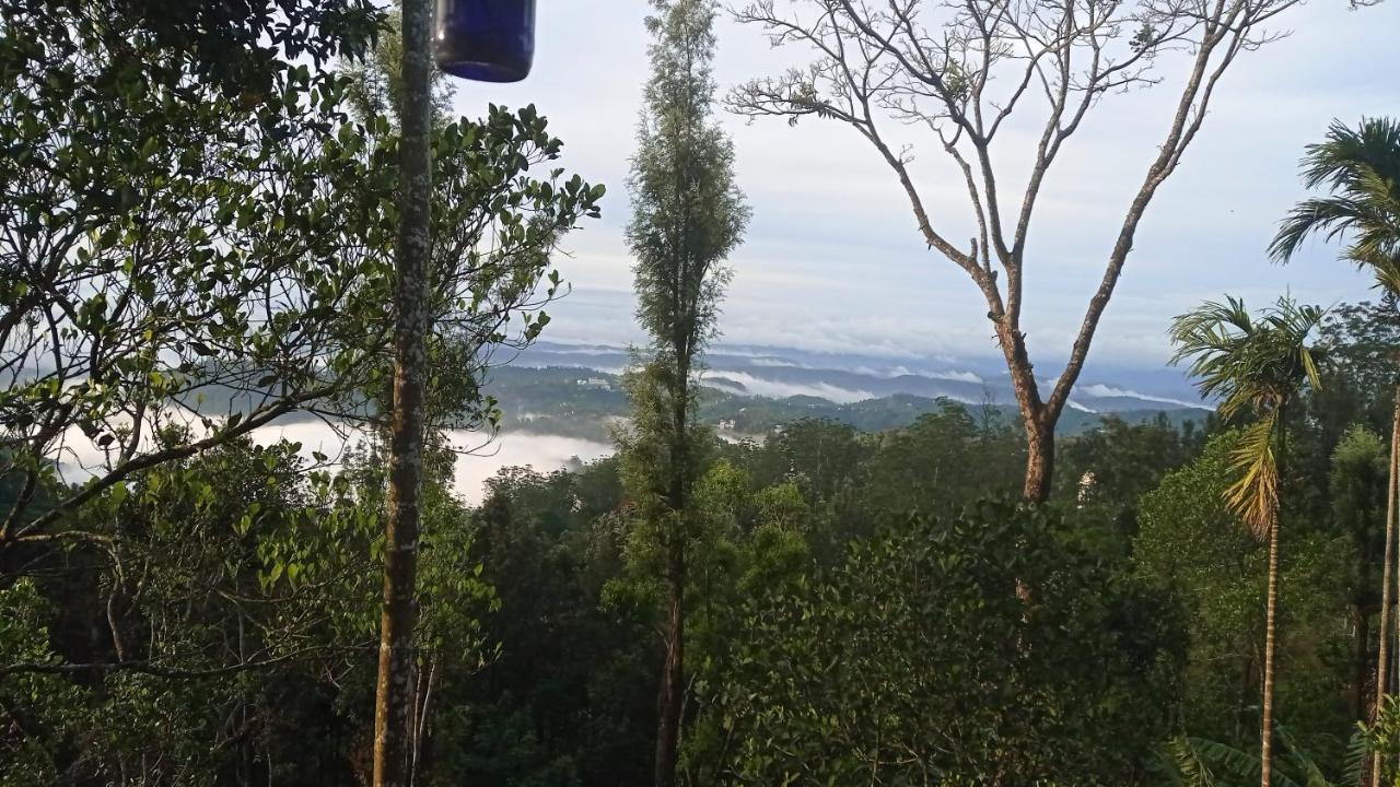 Teadrops Plantation