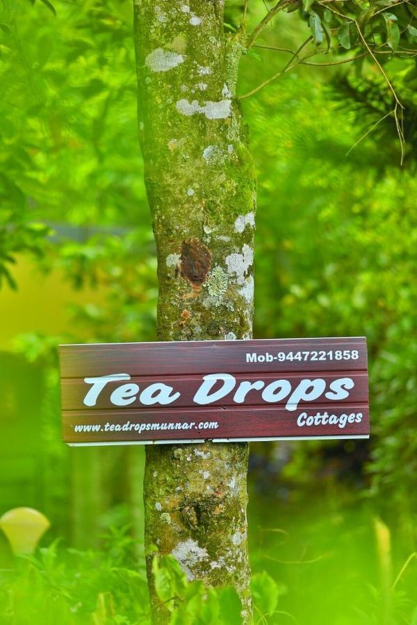 Teadrops Plantation * Munnar