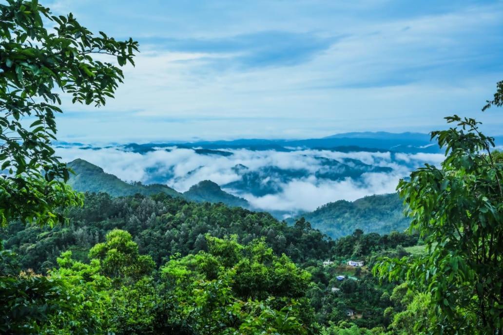 Teadrops Plantation * Munnar