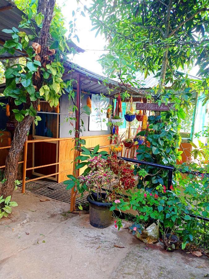 Teadrops Plantation