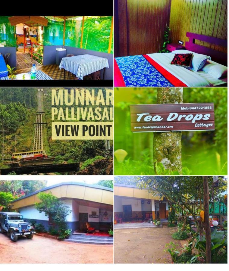 Teadrops Plantation Homestay *