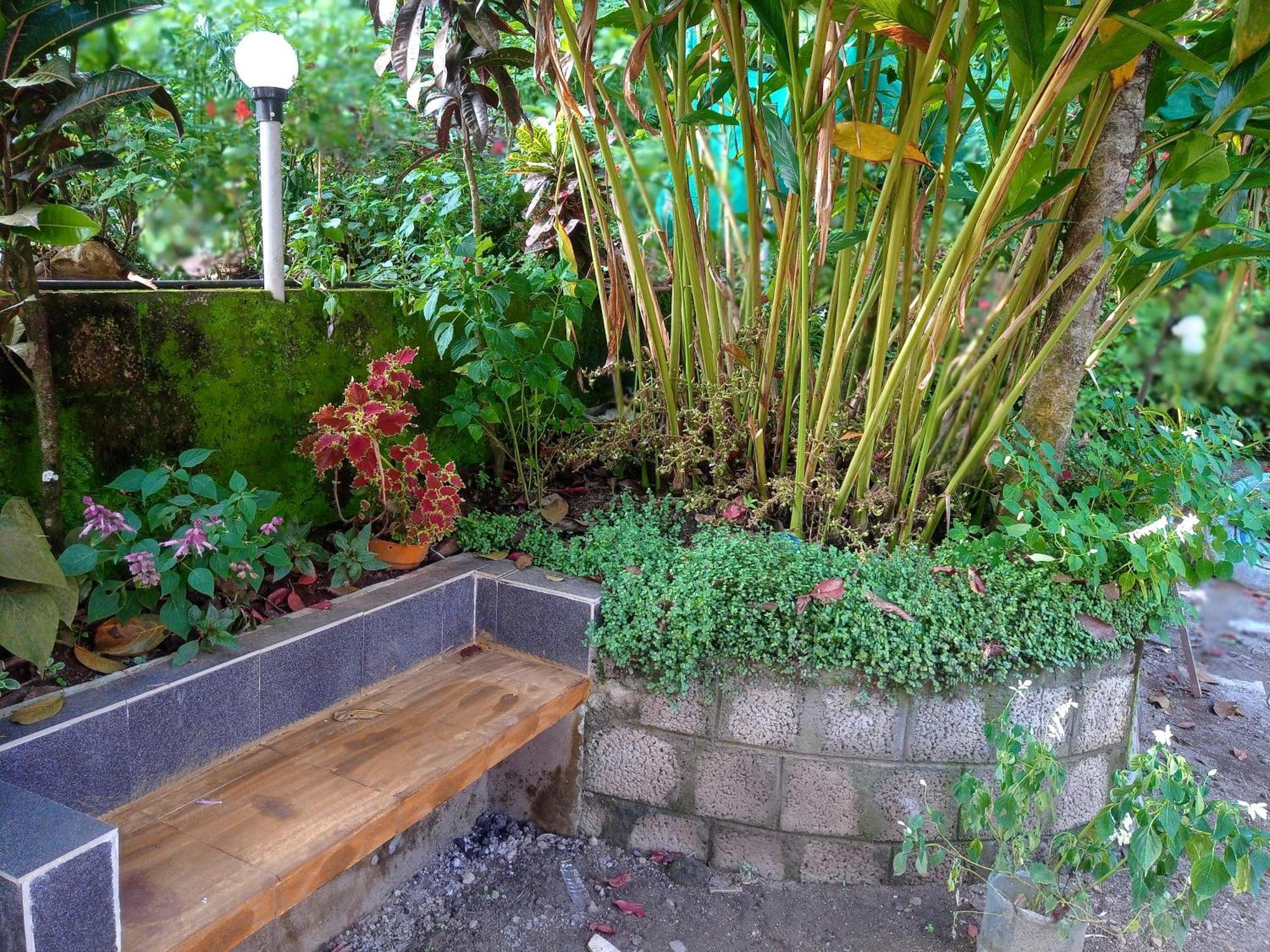 Teadrops Plantation *